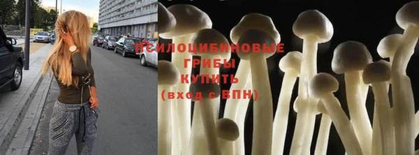 гашик Армянск
