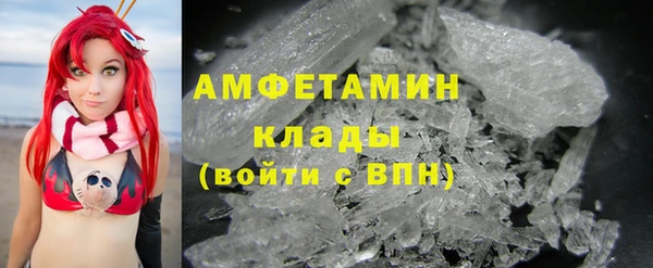 сатива Аркадак