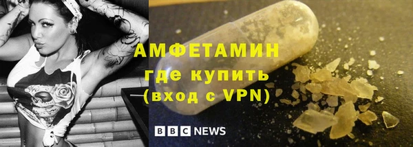 сатива Аркадак