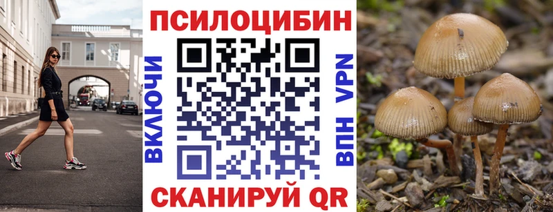 как найти   Артёмовский  Галлюциногенные грибы Magic Shrooms 